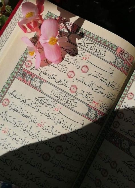 Moushaf ouvert avec des fleurs posées sur la page